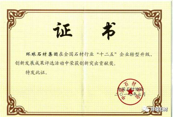 New8 image (5)