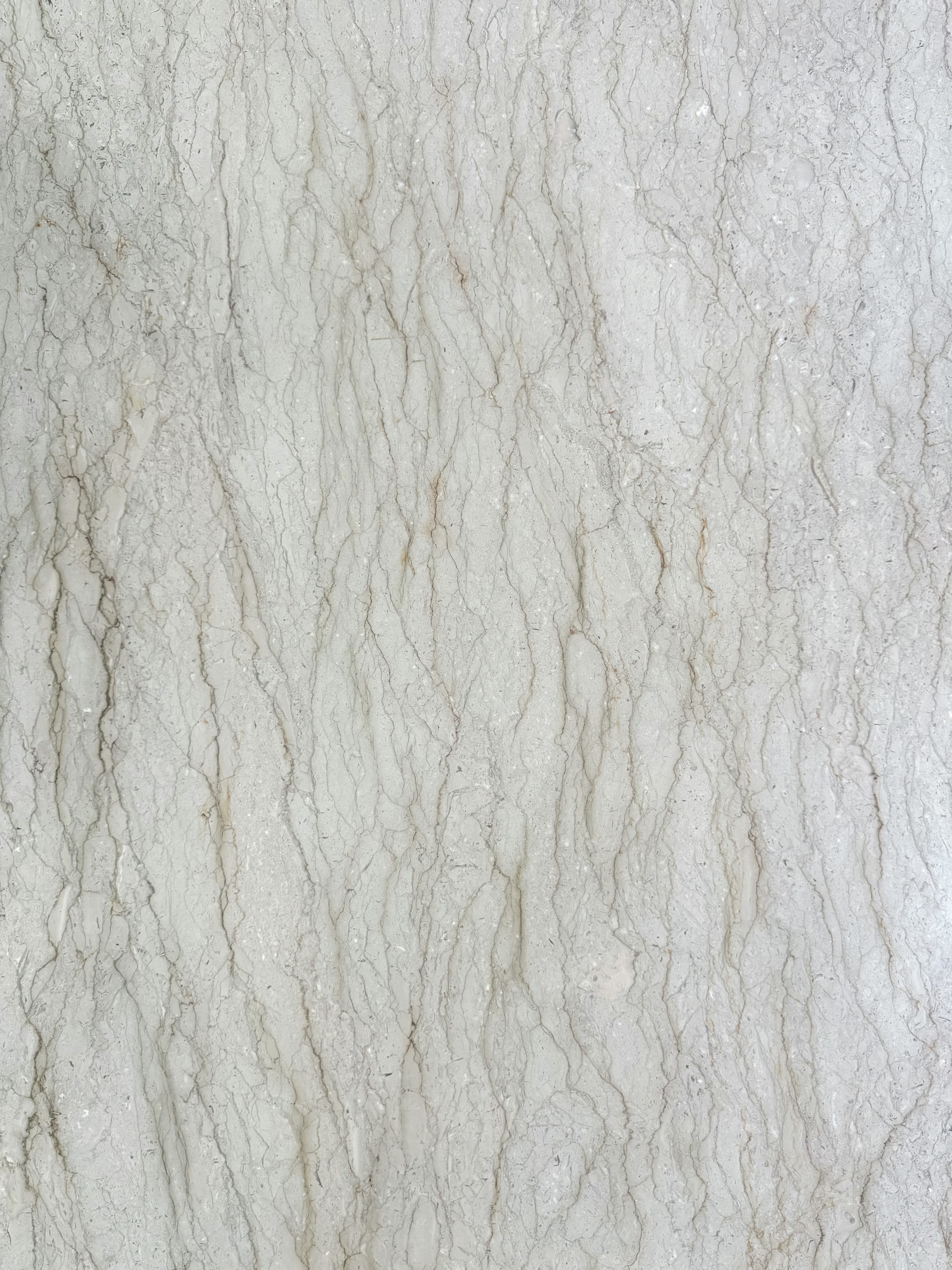 迪加尔灰细节 (1)